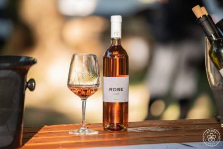 130256247_203056911352149_8016748921375556361_n