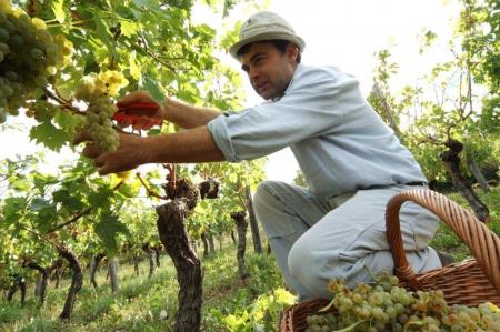 347753mitja_lavrencic-1